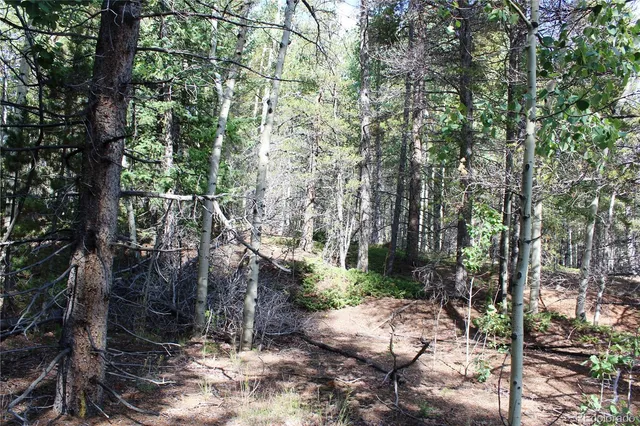 a view of outdoor space and trees