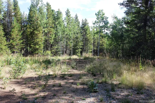 a view of a lake with a yard
