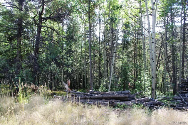 a view of swimming pool with a yard