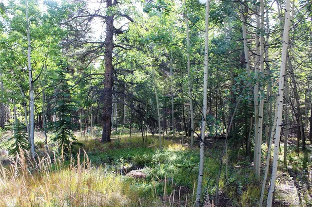 a view of outdoor space and trees