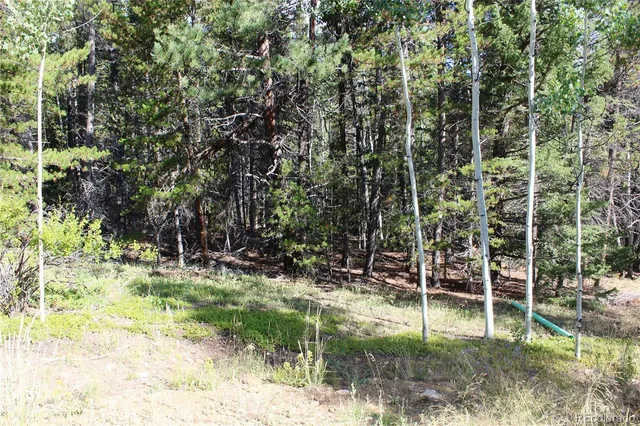 a view of swimming pool with a yard
