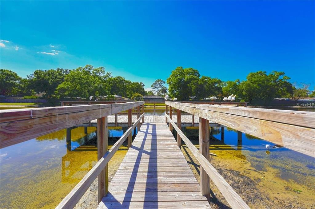 4511 South Oak Drive, Unit R32A Tampa, FL 33611 - Photo 24 of 27 a view of a balcony with chairs