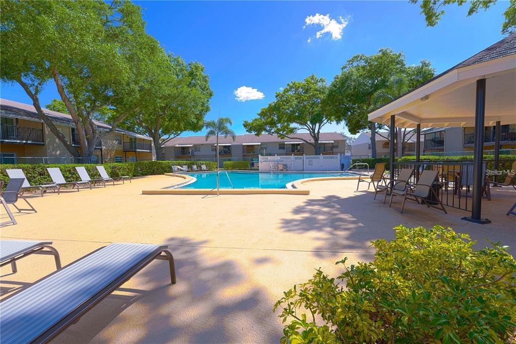 4511 South Oak Drive, Unit R32A Tampa, FL 33611 - Photo 5 of 27 a view of a swimming pool with a patio