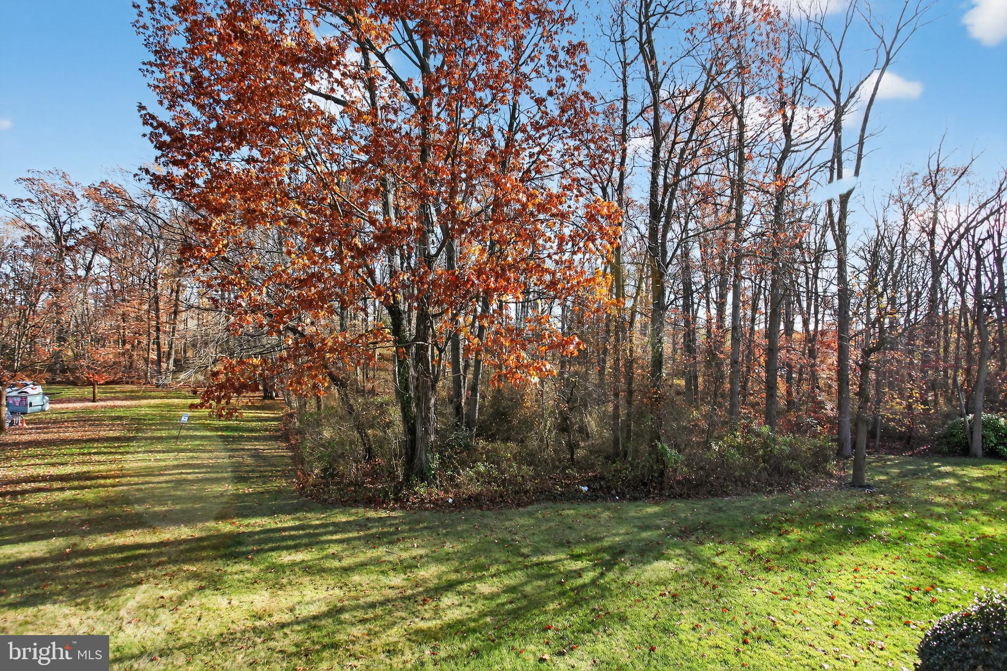 149 Chalkboard Court Moorestown, NJ 08057 - Photo 19 of 19 a view of a yard with large trees