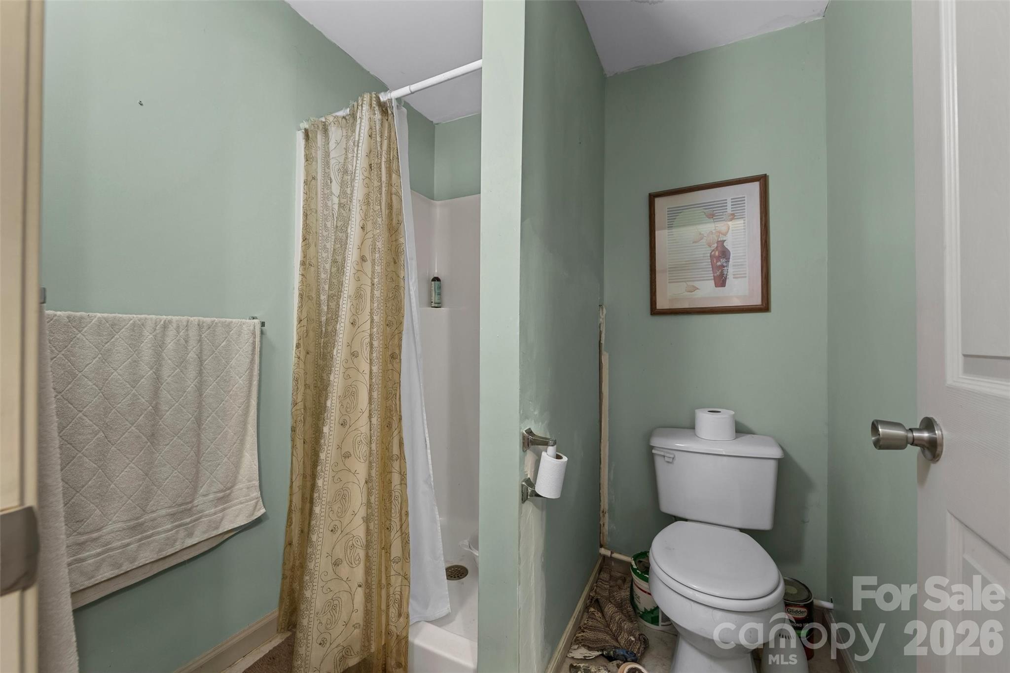 1717 Howard Moore Road Hot Springs, NC 28743 - Photo 25 of 42