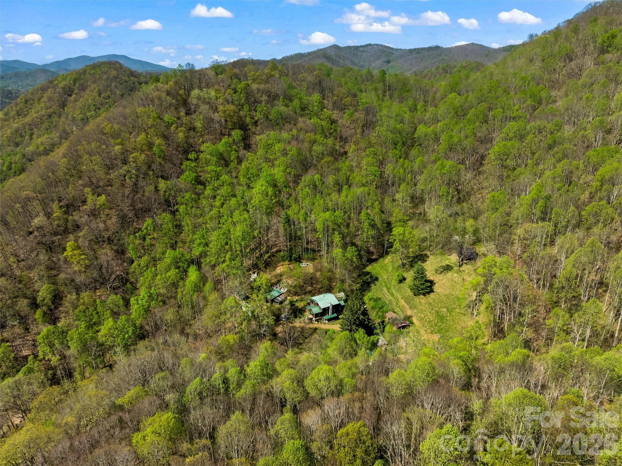 1717 Howard Moore Road Hot Springs, NC 28743 - Photo 38 of 42