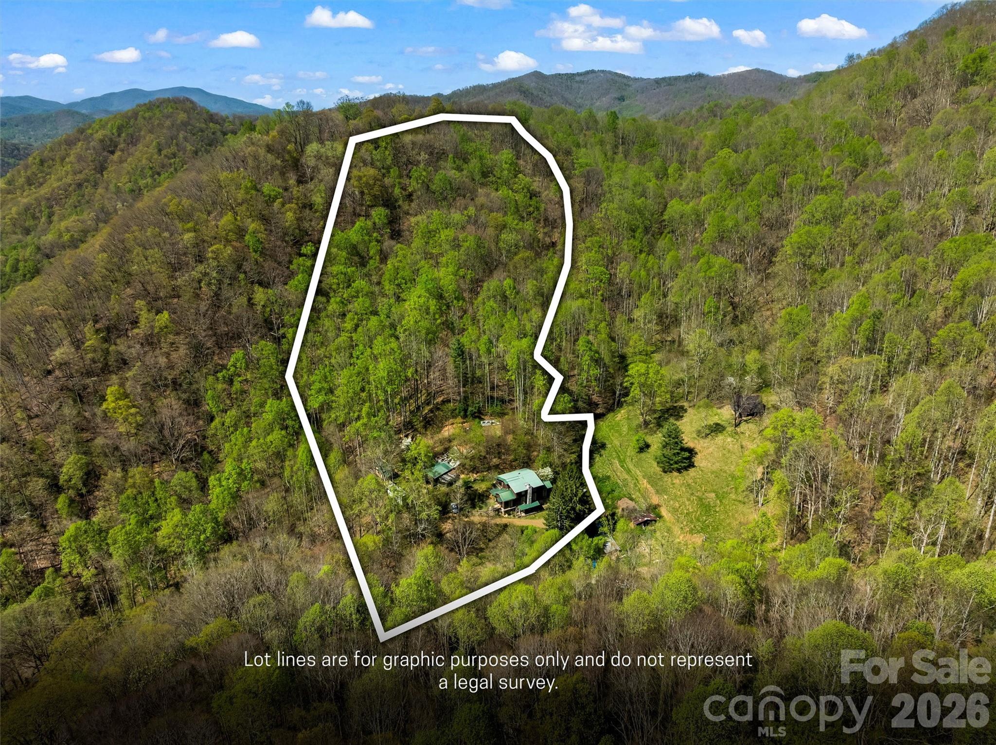 1717 Howard Moore Road Hot Springs, NC 28743 - Photo 39 of 42