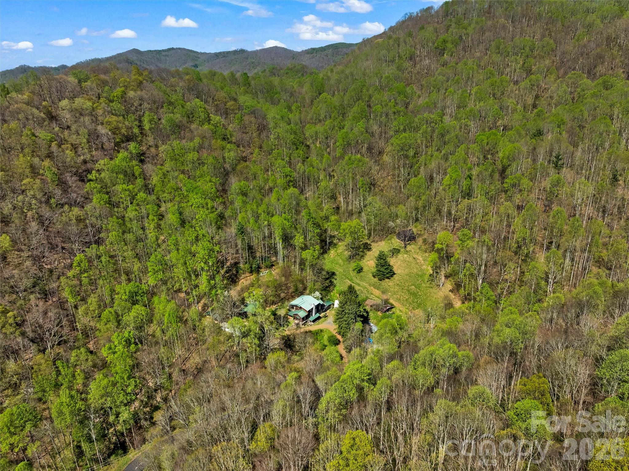 1717 Howard Moore Road Hot Springs, NC 28743 - Photo 40 of 42