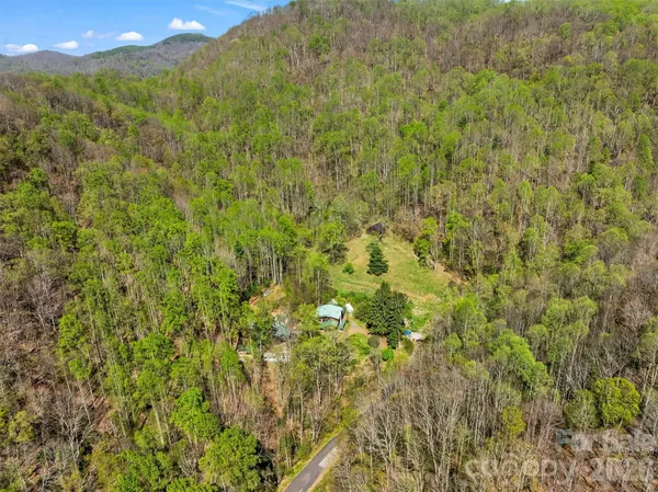 a view of a lush green forest with a houses