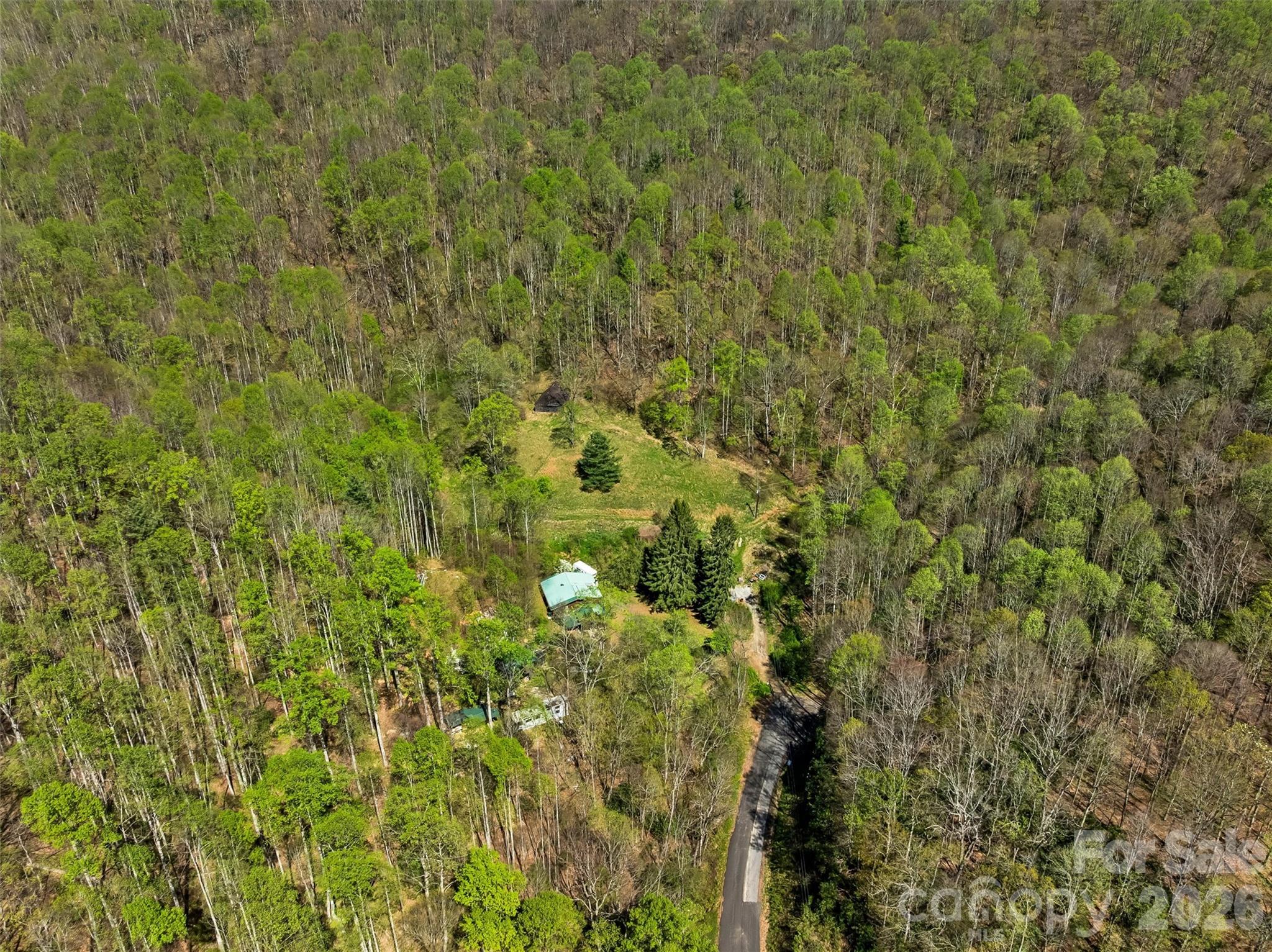 1717 Howard Moore Road Hot Springs, NC 28743 - Photo 42 of 42