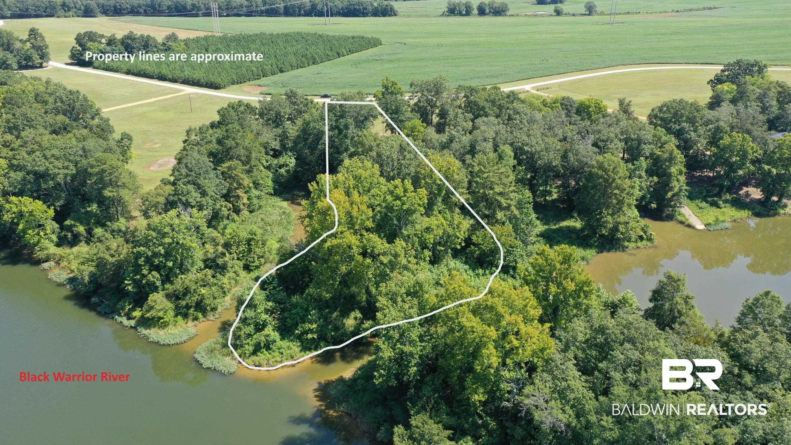 Lot 21 Judge Greene Place Road Greensboro, AL 36744 - Photo 4 of 50
