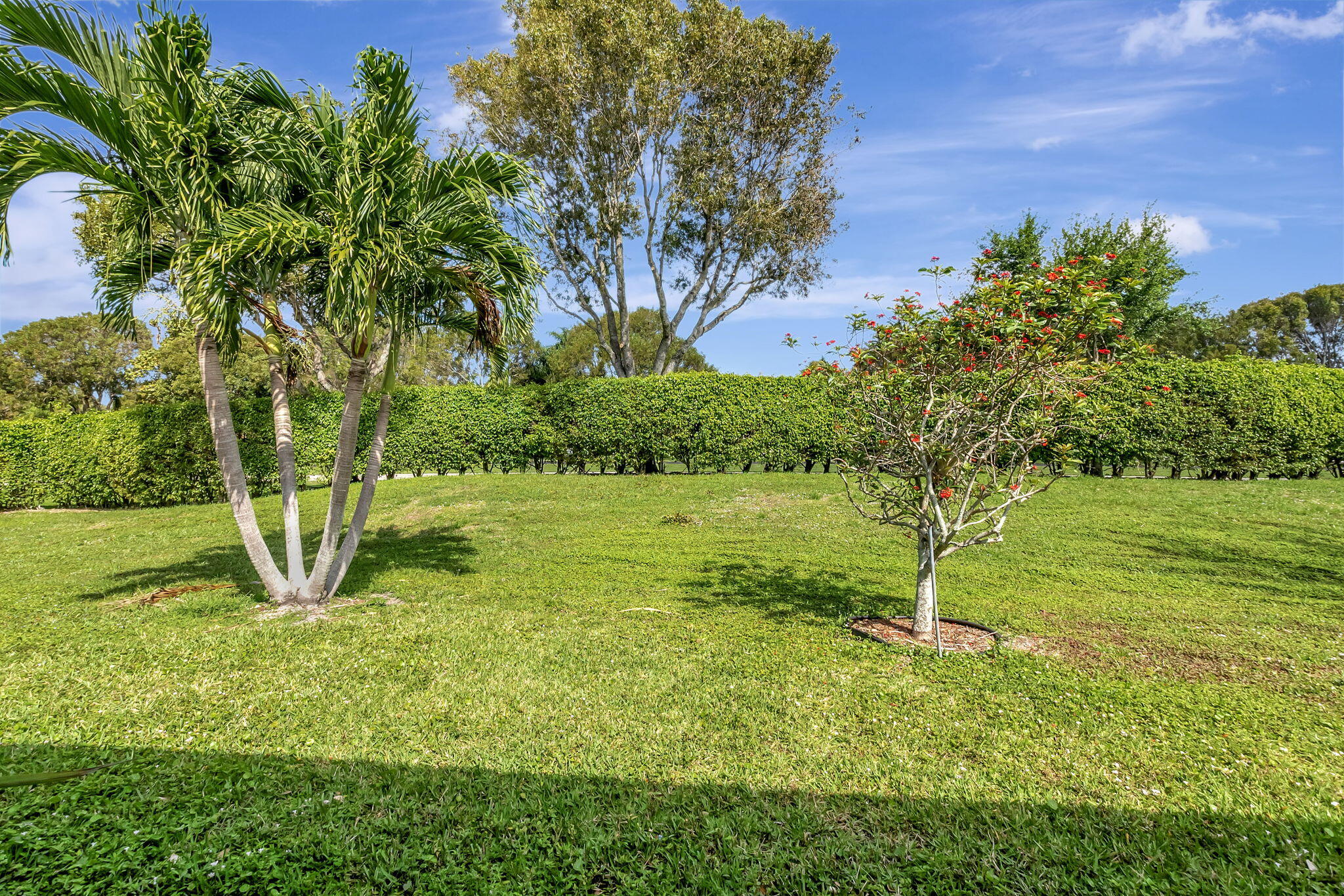 8255 Springlake Drive Boca Raton, FL 33496 - Photo 38 of 48 33-web-or-mls-DSC_8313
