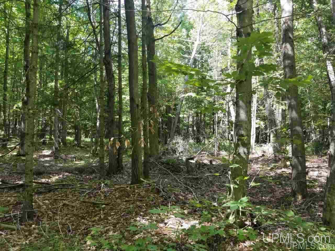 1446 West Kendall Road Manistique, MI 49854 - Photo 24 of 24