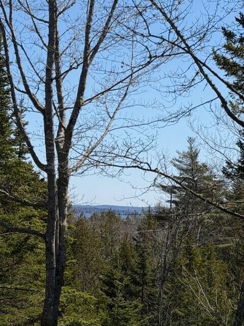 39 Needle's Eye Road Lamoine, ME 04605 - Photo 40 of 53 view from back deck Raccoon Cove