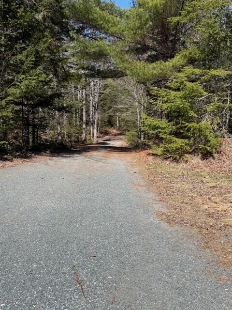 39 Needle's Eye Road Lamoine, ME 04605 - Photo 52 of 53 Driveway view-leaving house