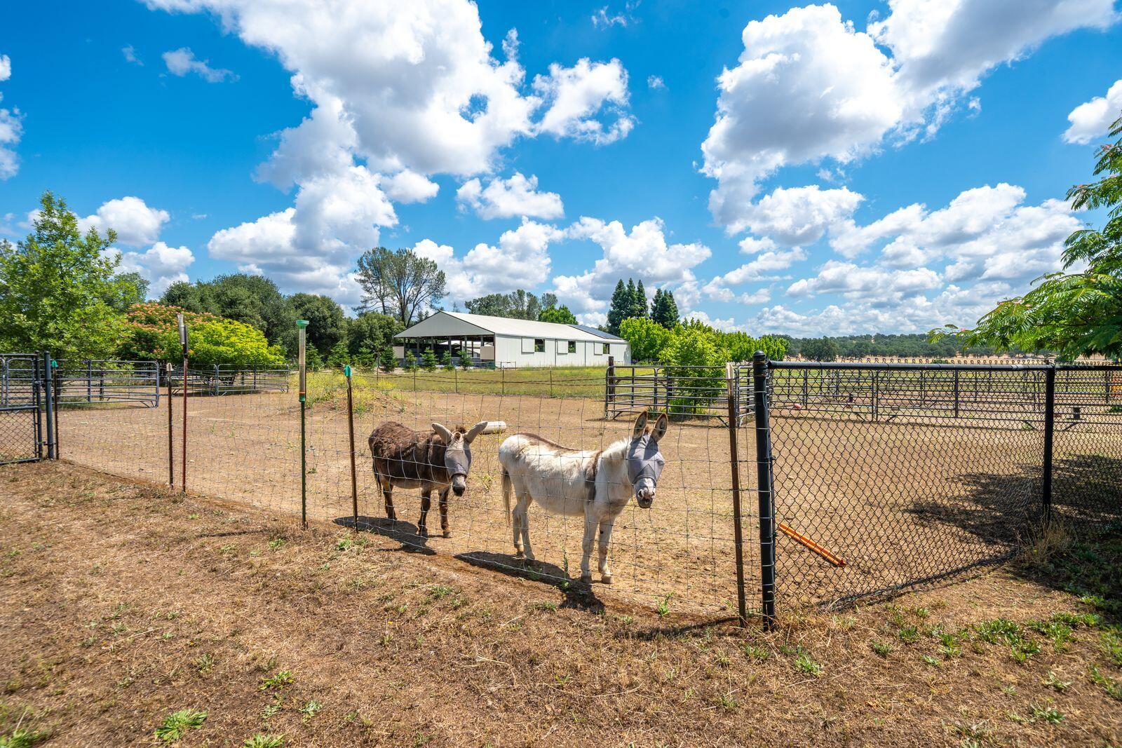 22162 Silver Spur Road Palo Cedro, CA 96073 - Photo 59 of 80 -MJW-4Ug
