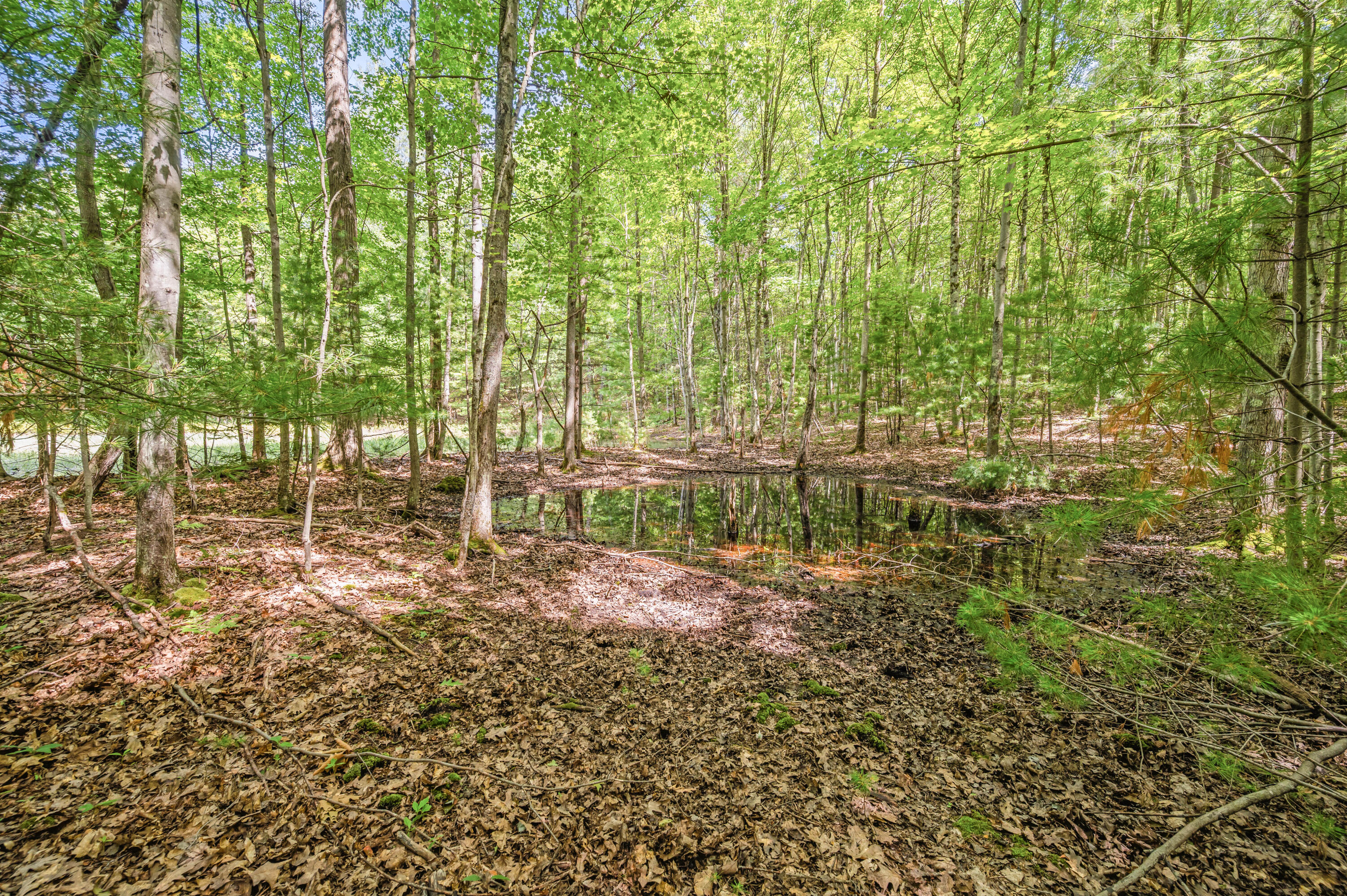 15 West 12 Mile Road Irons, MI 49644 - Photo 21 of 32 Lot15-12MileRd-Irons-3