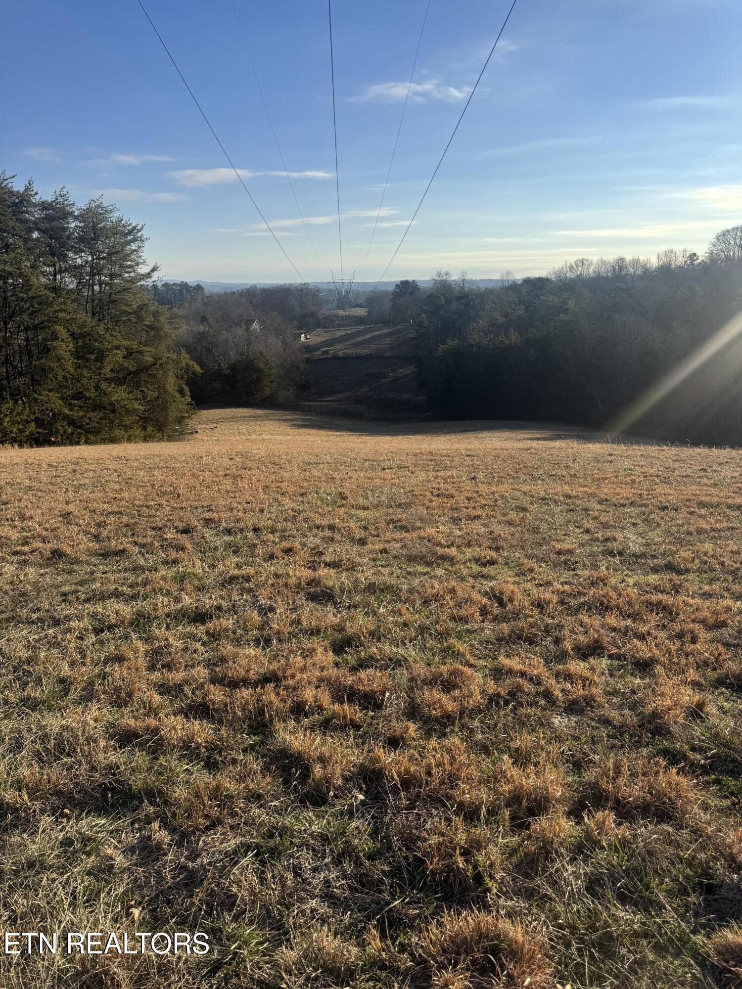 2490 Whittle Road New Market, TN 37820 - Photo 18 of 41 IMG_9938