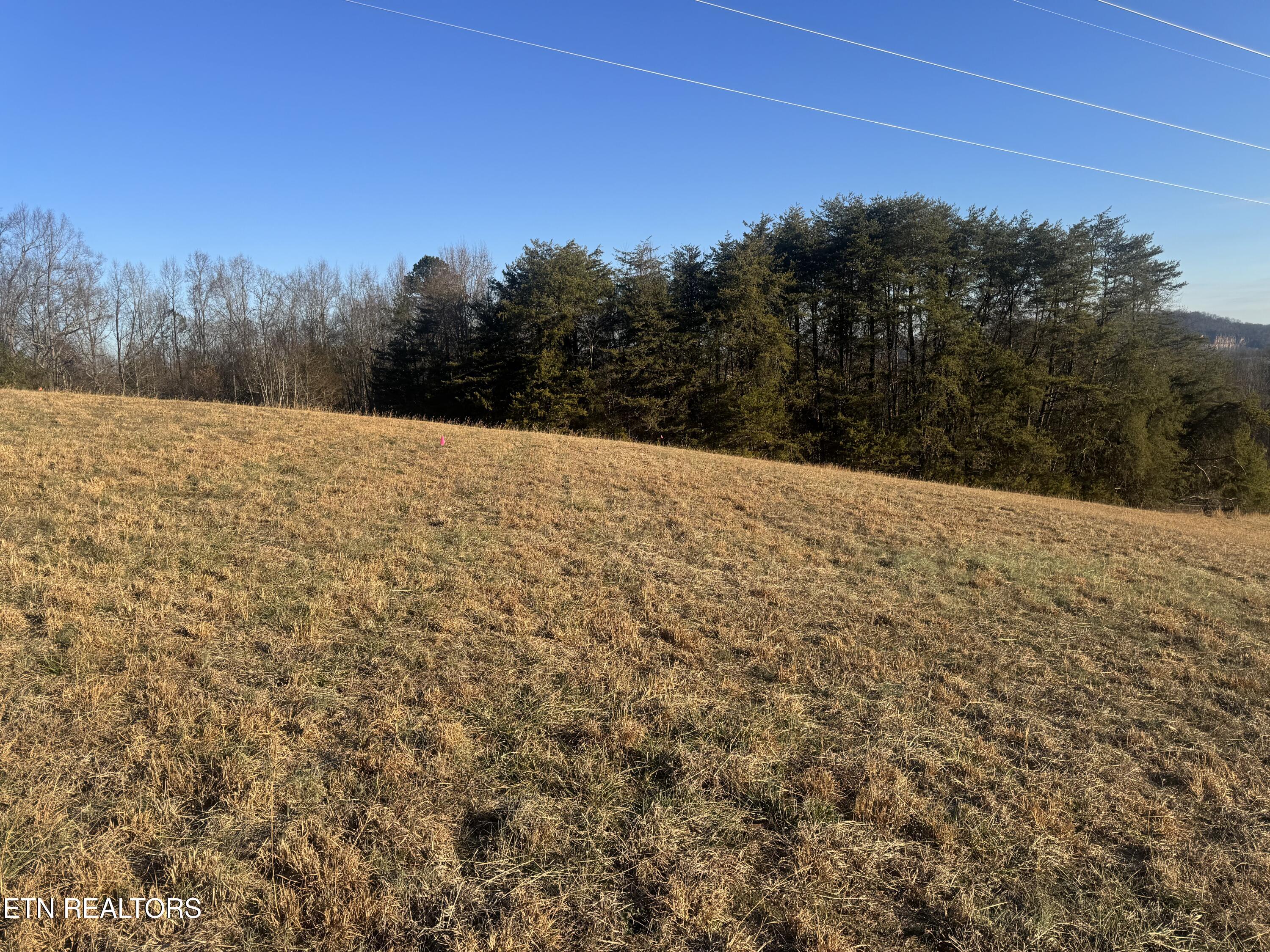 2490 Whittle Road New Market, TN 37820 - Photo 22 of 41 IMG_9943