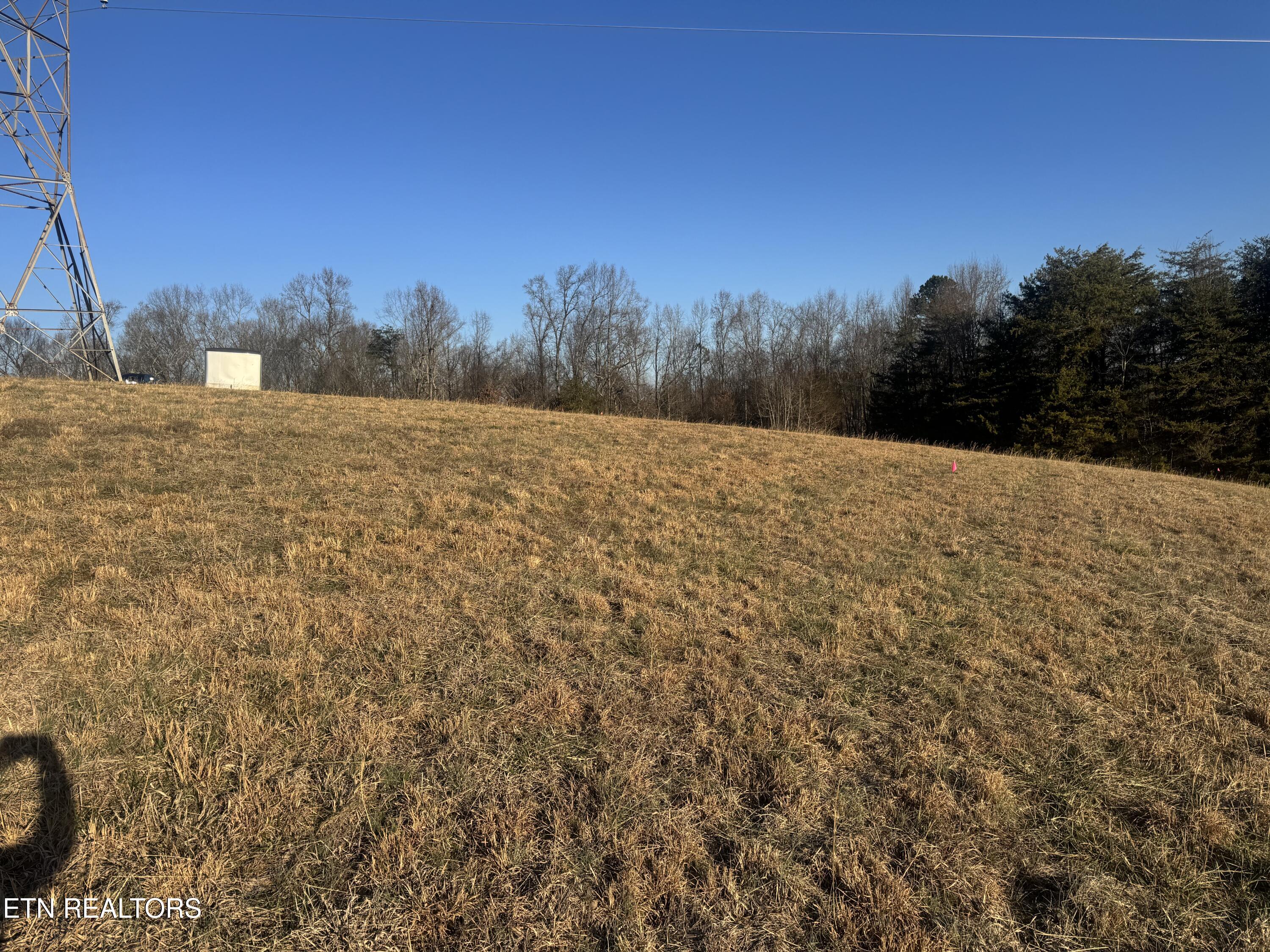 2490 Whittle Road New Market, TN 37820 - Photo 23 of 41 IMG_9944