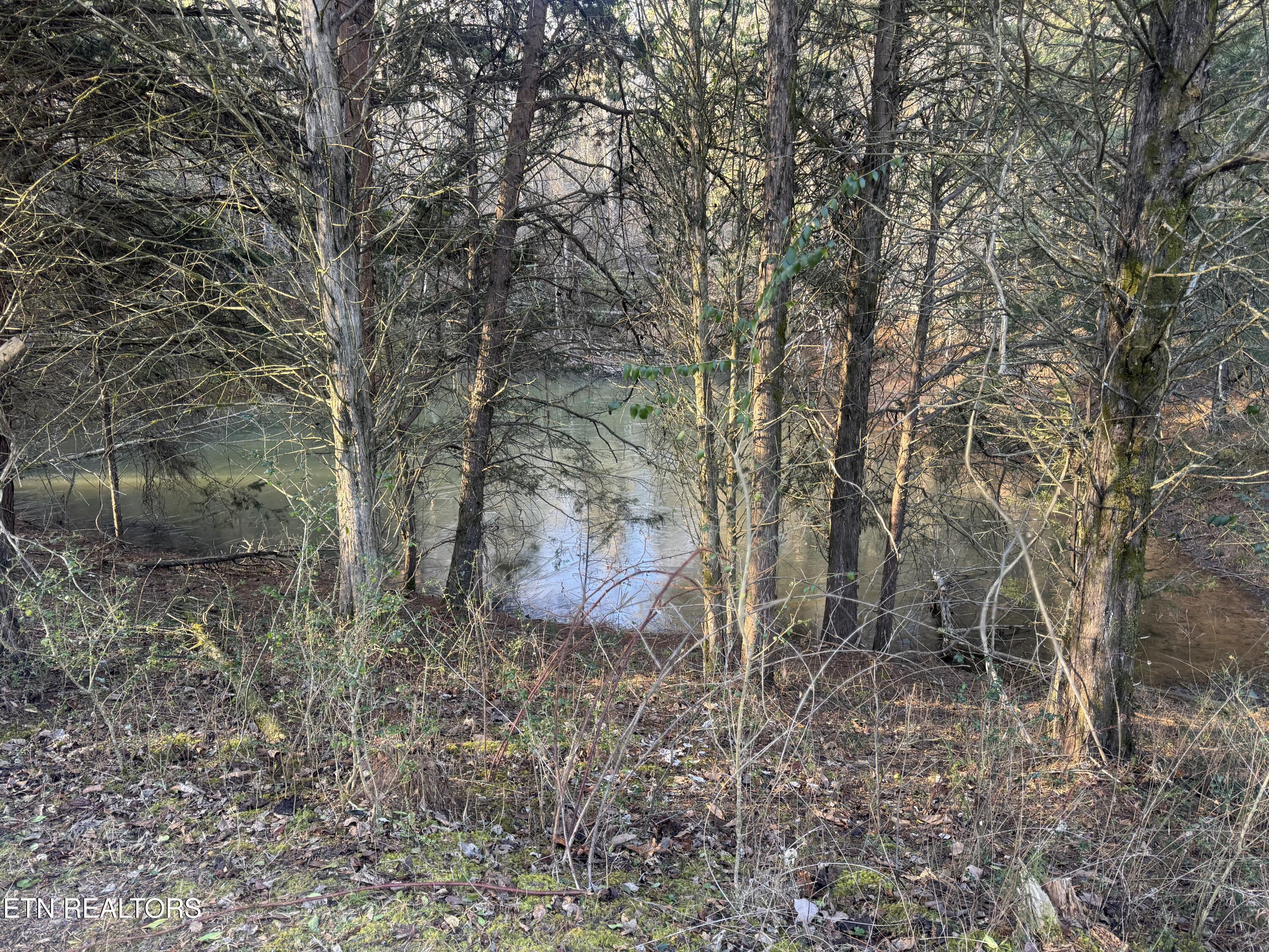 2490 Whittle Road New Market, TN 37820 - Photo 32 of 41 IMG_9954