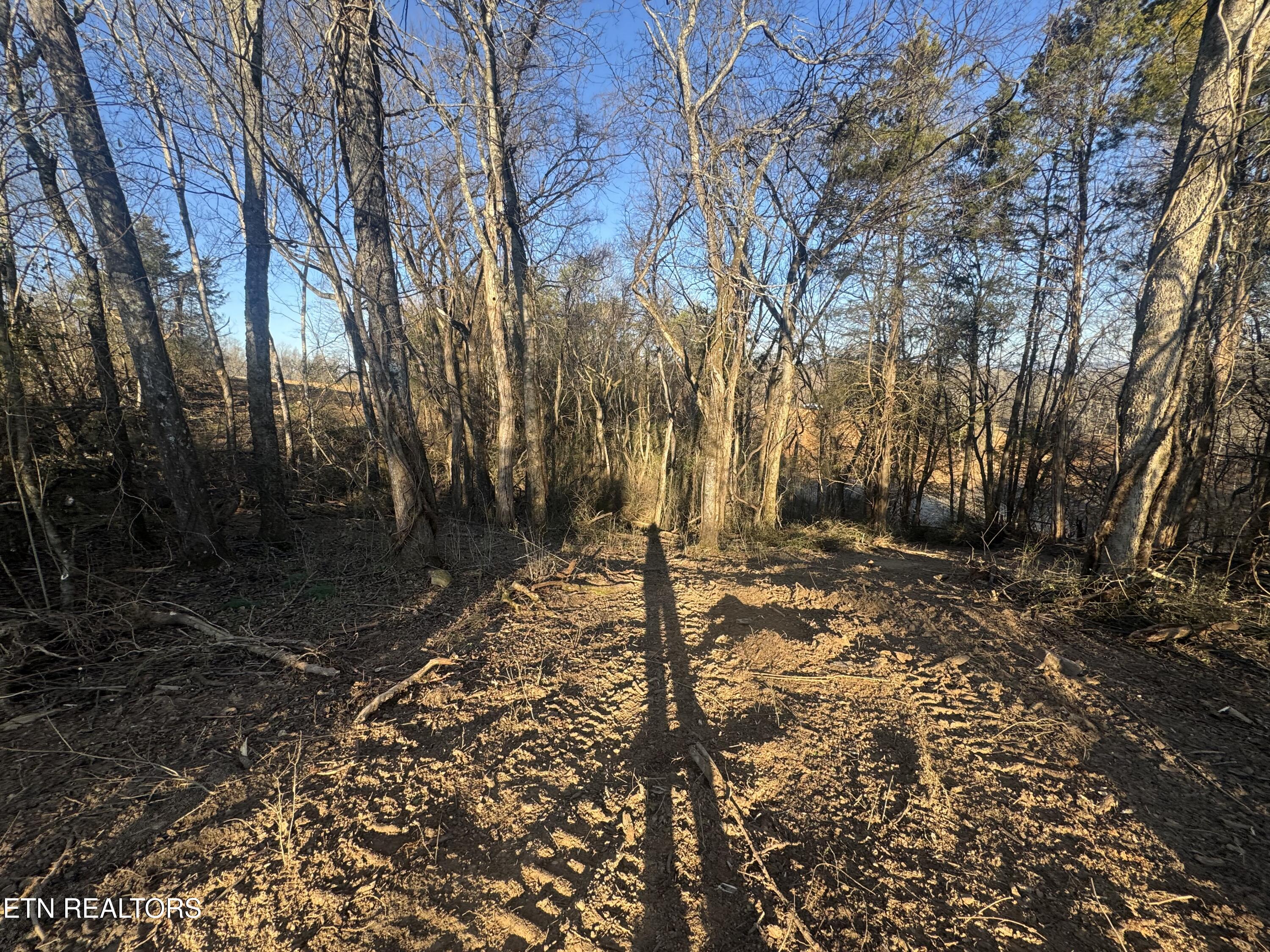 2490 Whittle Road New Market, TN 37820 - Photo 36 of 41 IMG_9958