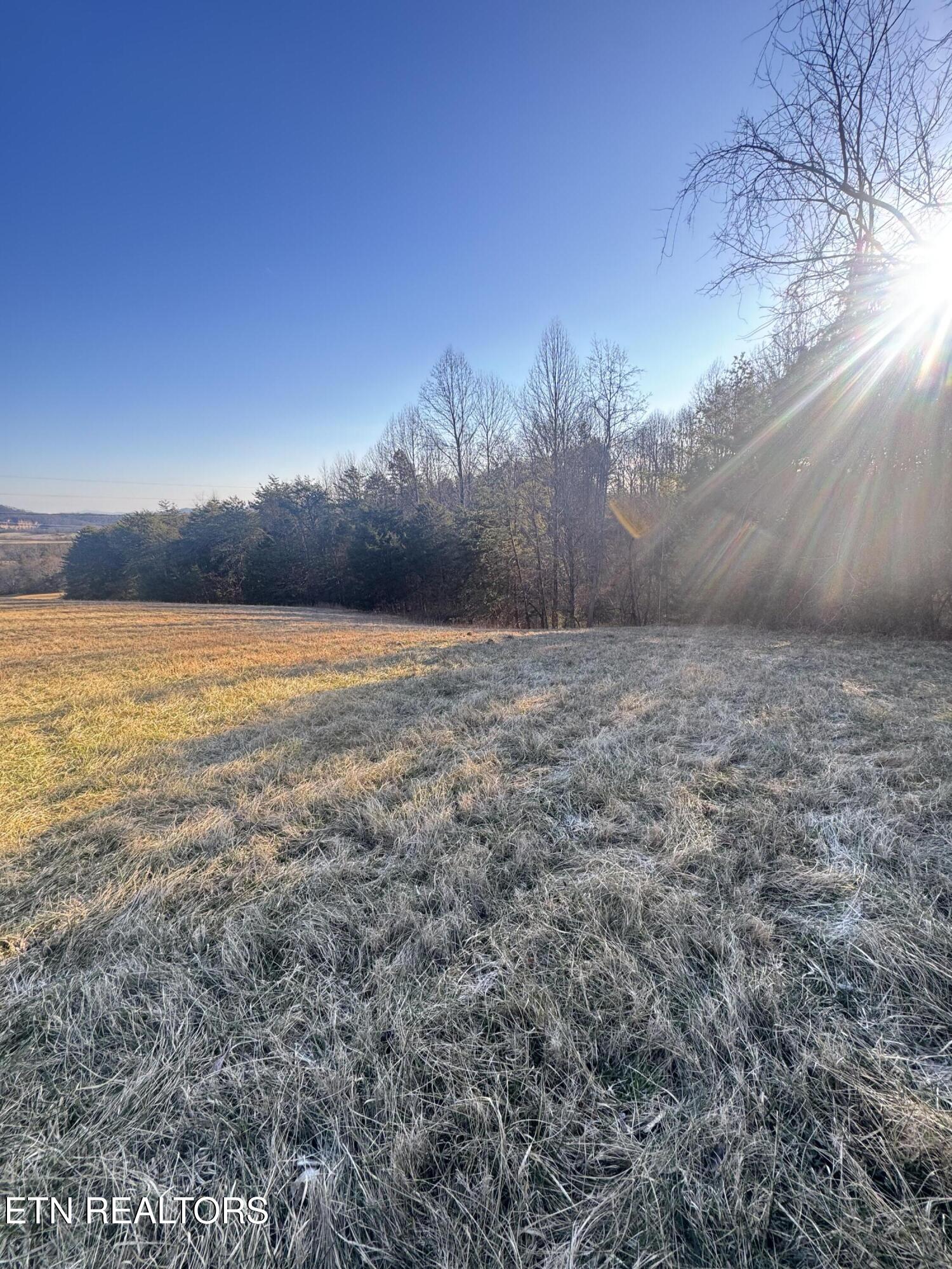 2490 Whittle Road New Market, TN 37820 - Photo 37 of 41 IMG_9962