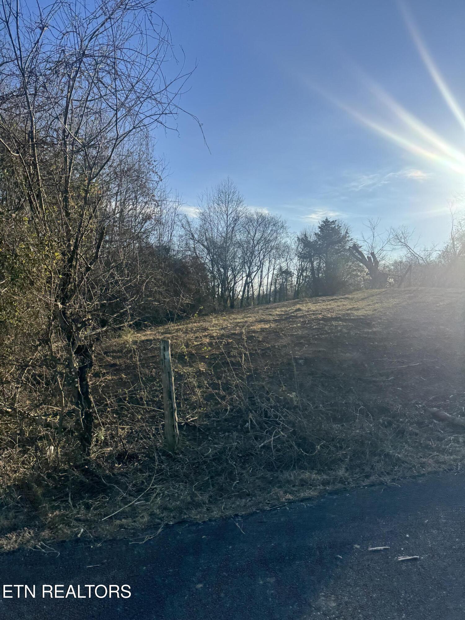 2490 Whittle Road New Market, TN 37820 - Photo 6 of 41 IMG_9925