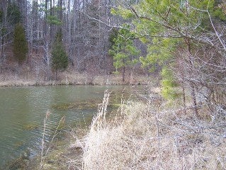 0 Westside Drive, Unit 62 Rice, VA 23966 - Photo 2 of 6 Gallery Image 2