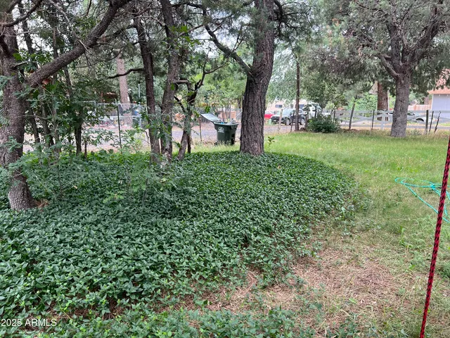 a view of a yard with a tree
