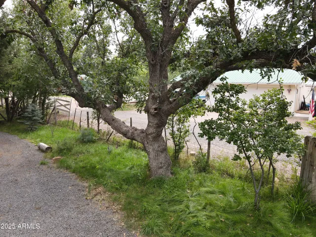a view of a tree in front of a house