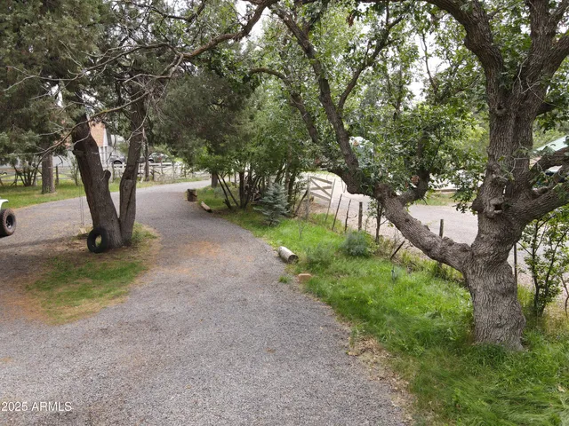 a view of a yard with plants and a large tree