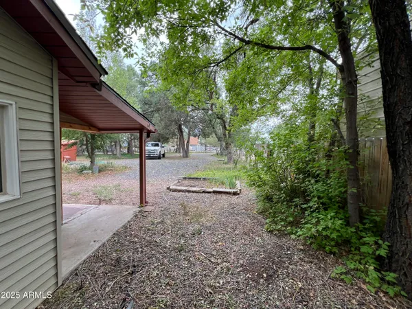 a view of a backyard with large tree