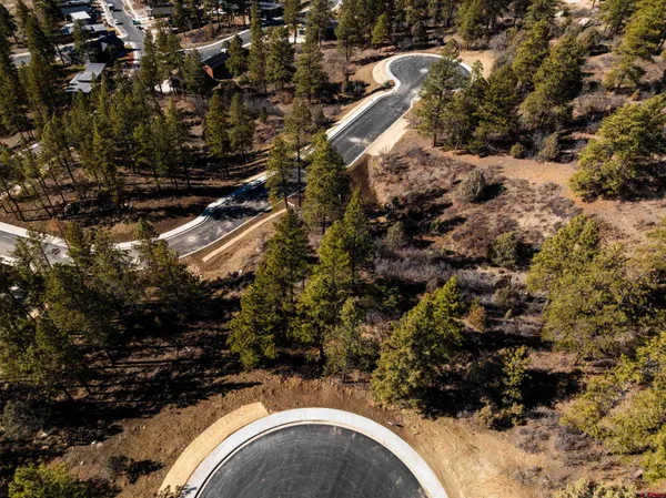 a view of covered with trees