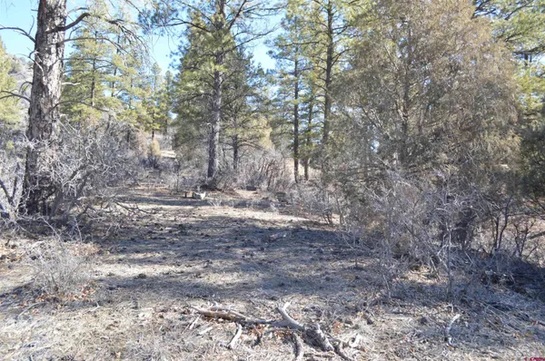 $359,000 | 63 Snowdrop Court, Durango, CO 81301