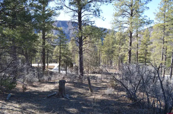 a view of a garden with a houses