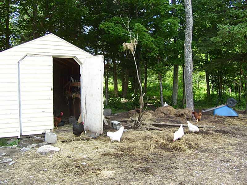 1664 Woodland Center Road Perham, ME 04766 - Photo 10 of 30 Other.
