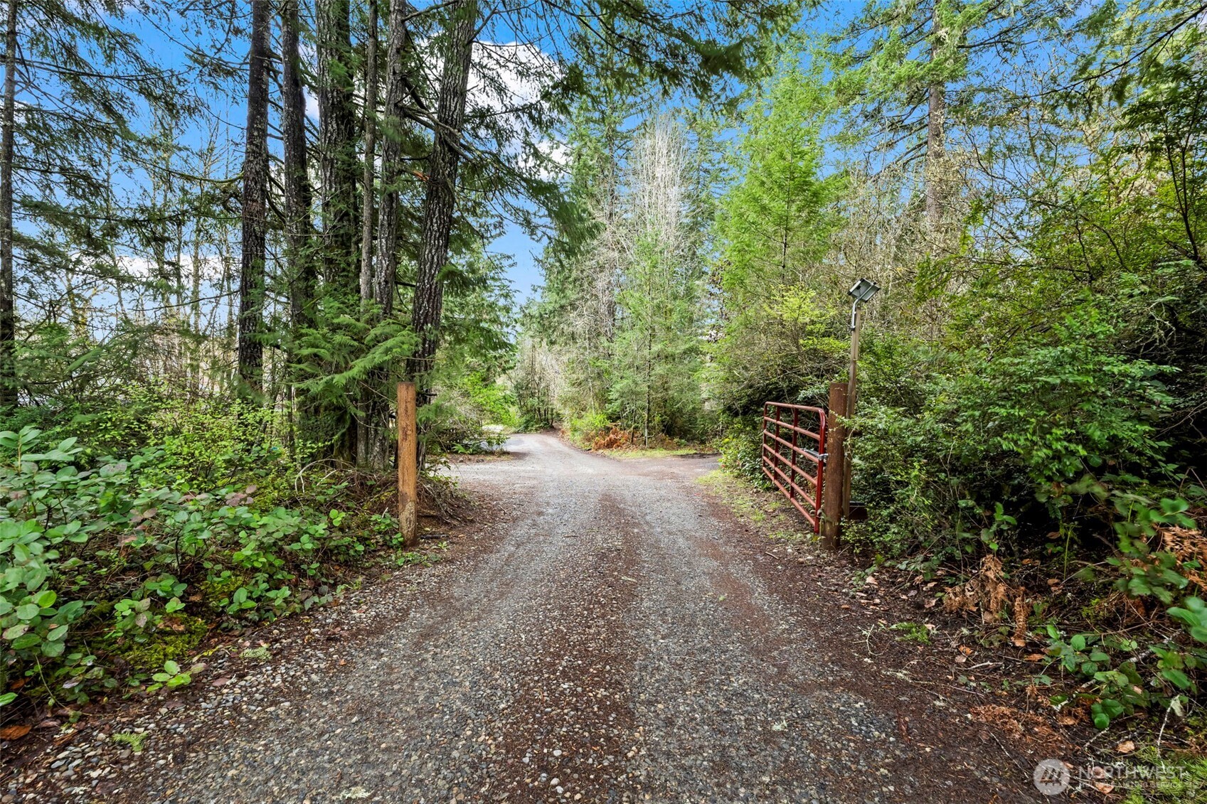 680 Highway 302 Allyn, WA 98524 - Photo 1 of 11 a view of a forest with trees in the background