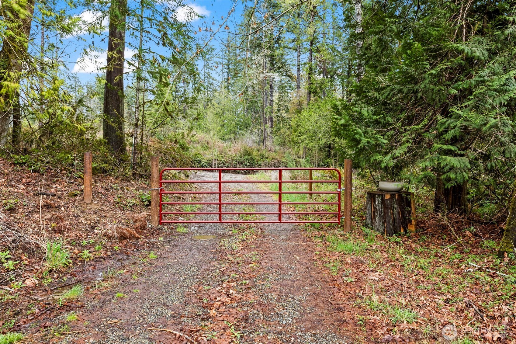 680 Highway 302 Allyn, WA 98524 - Photo 11 of 11 a view of a backyard with large trees