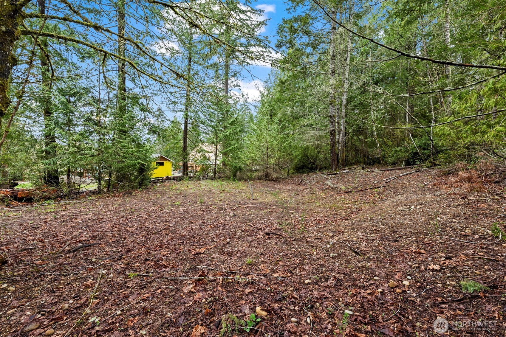 680 Highway 302 Allyn, WA 98524 - Photo 6 of 11 a view of a field with trees