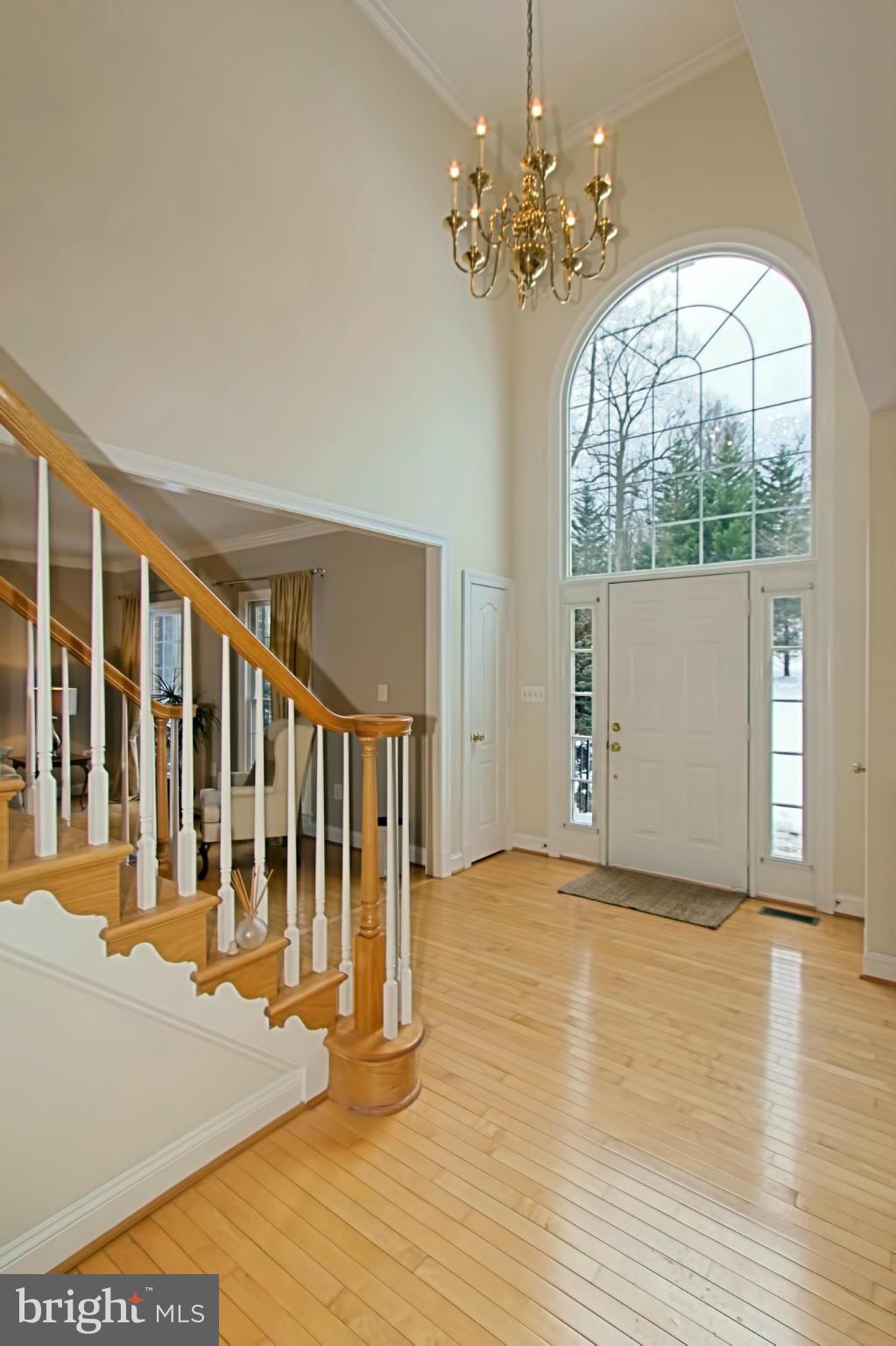 537 Utterback Store Road Great Falls, VA 22066 - Photo 3 of 30 Grand palladium window