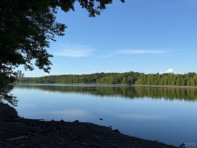 933 Swancott Mill Road Lewis, NY 13471 - Photo 24 of 25