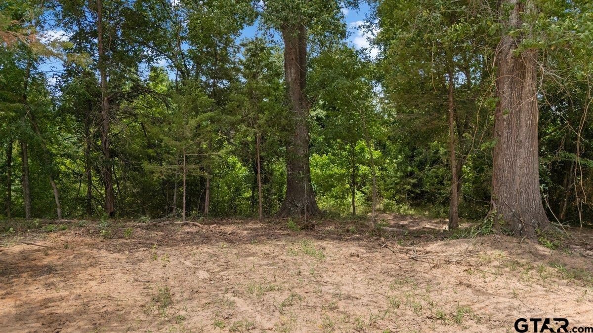 384 County Road Tyler, TX 75708 - Photo 4 of 8