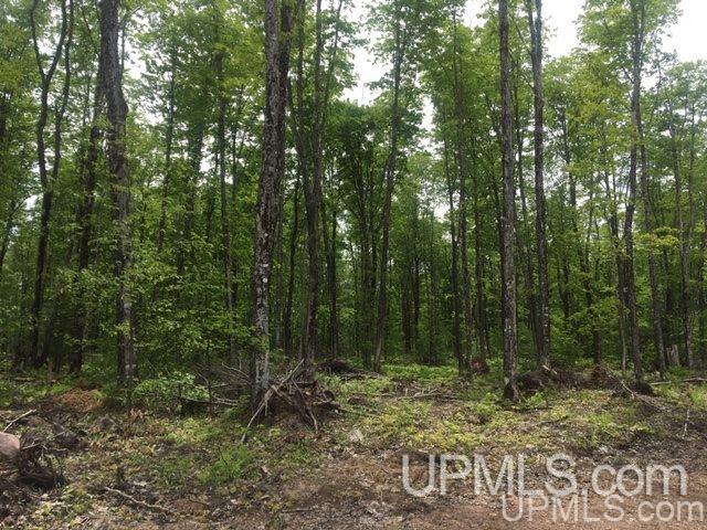 864 Niemi Road Skandia, MI 49885 - Photo 17 of 27