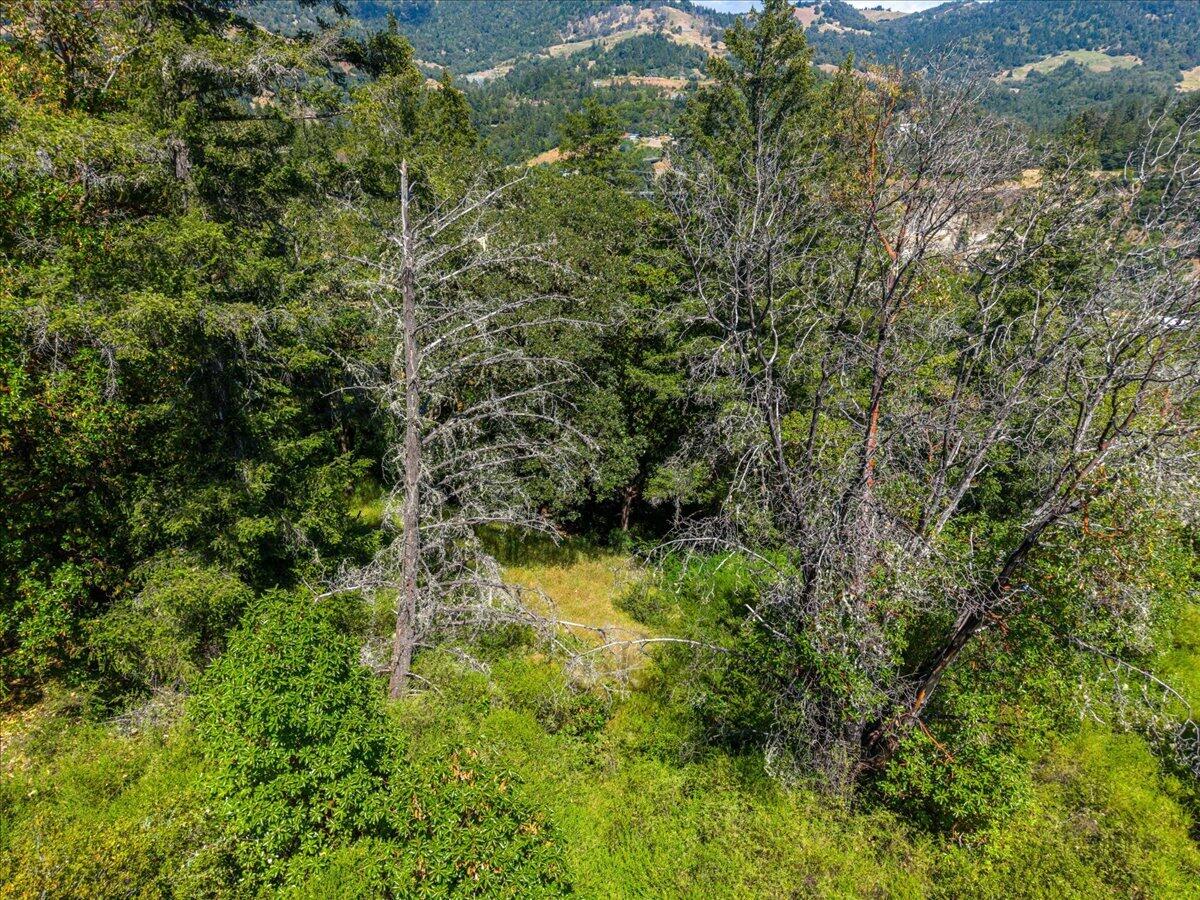 C Bear Canyon Road Garberville, CA 95542 - Photo 28 of 43 37-DJI_20260529151020_0733_D_1