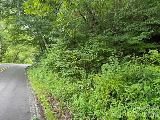 Tbd Meadow Fork Road Hot Springs, NC 28743 - Photo 5 of 20