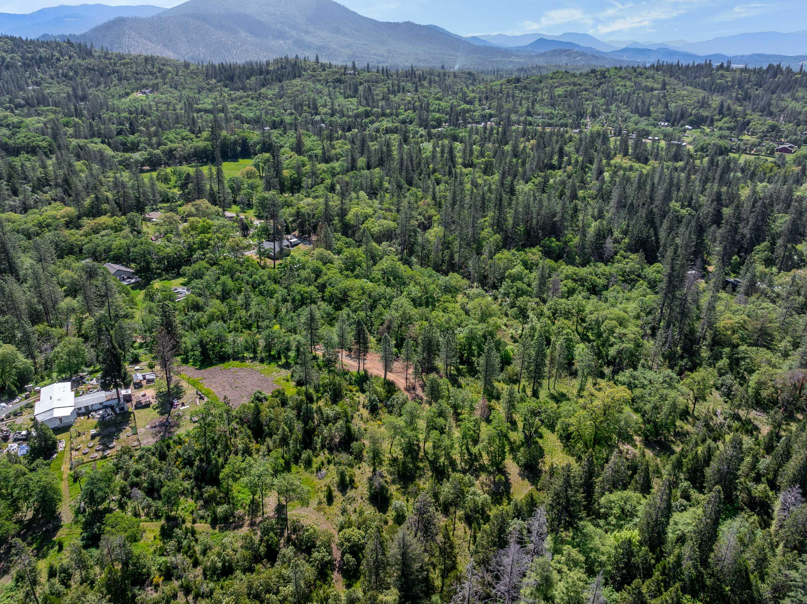 0 Tunnel Loop Road Grants Pass, OR 97526 - Photo 14 of 25 a view of a lush green field with lots of bushes
