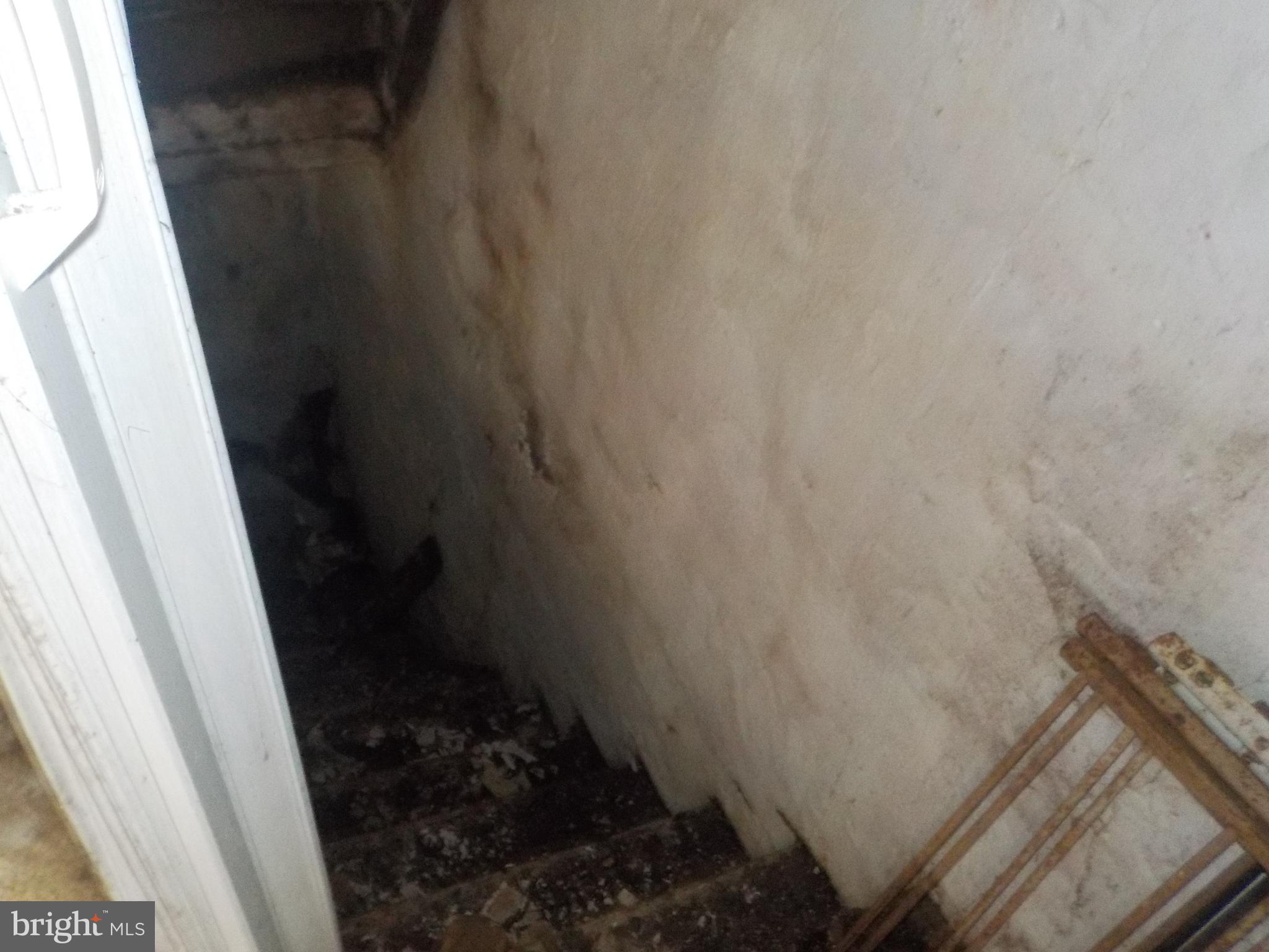 1119 Ward Street Baltimore, MD 21230 - Photo 6 of 11