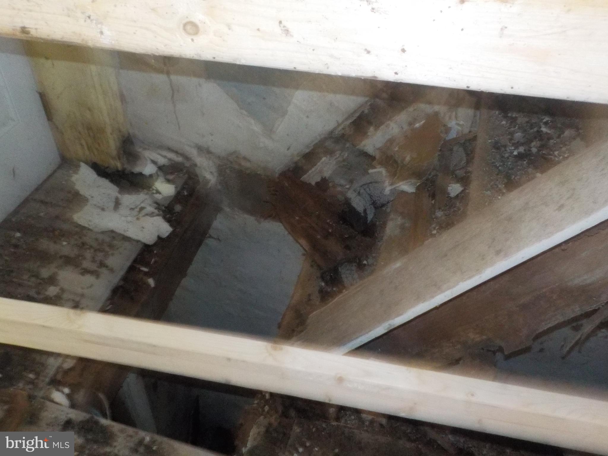 1119 Ward Street Baltimore, MD 21230 - Photo 7 of 11