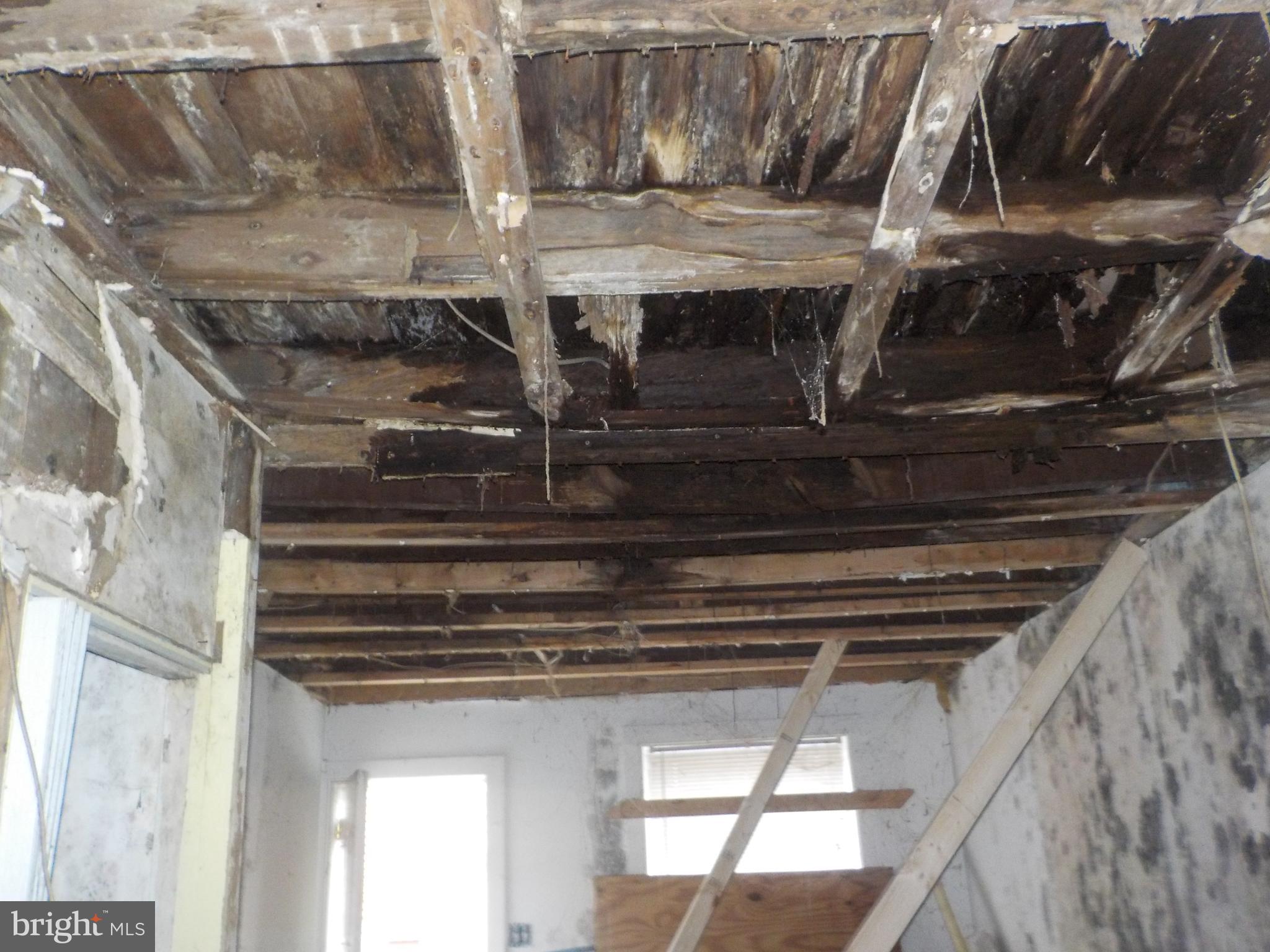 1119 Ward Street Baltimore, MD 21230 - Photo 10 of 11